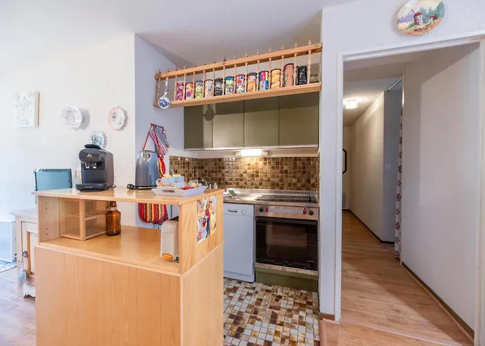 Apartment Petit Montagnard - Wifi - Parking - Terrasse *