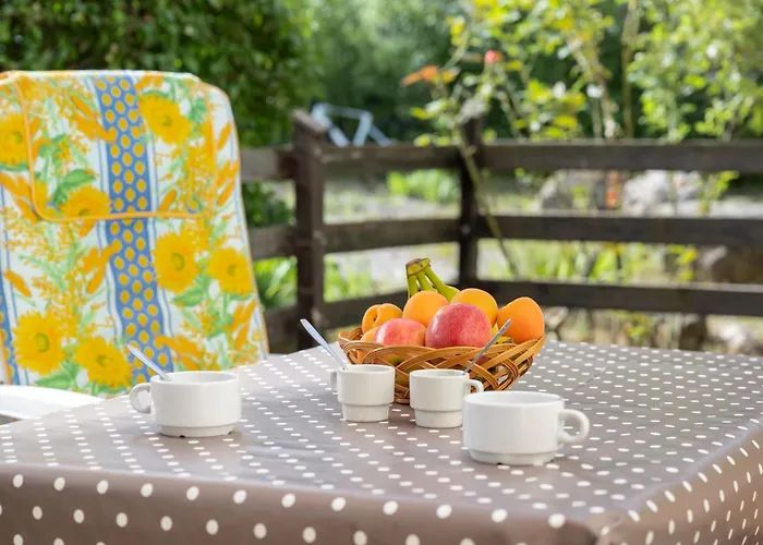 Petit Montagnard - Wifi - Parking - Terrasse * Enchastrayes